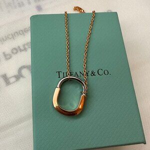 Tiffany & Co. Gold and Silver Necklace